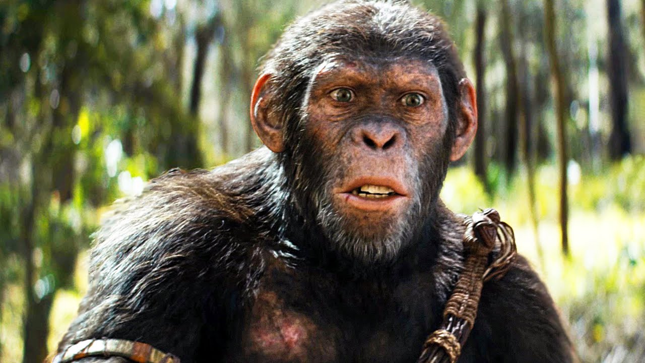 La Planète des Singes : Le Nouveau Royaume – Kingdom of the Planet of the  Apes – la revanche du film, image size:1280x720